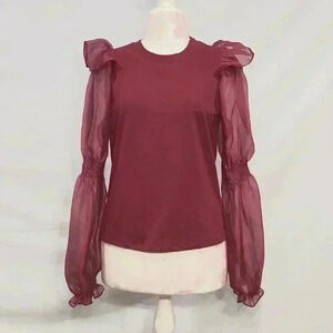 Anthropologie Sheer Ruffled Puff Sleeve Top